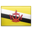 Bruneian Flag